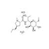 Lincomycin Hydrochloride Monohydrate