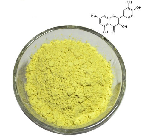 Organic Quercetin Powder