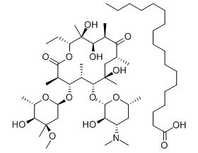 Erythromycin Stearate 