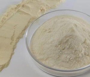 Whey Bulk Protein Powder