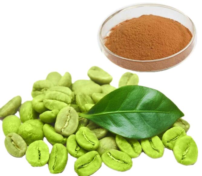 Green Coffee Bean 50 Chlorogenic Acid